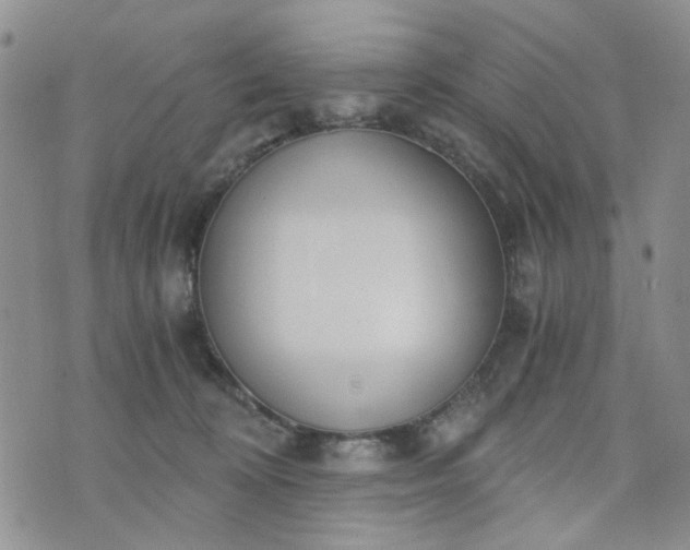 X0000076390324200610161146