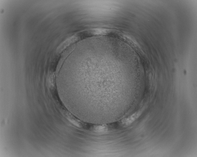 X0000076390325200610161146