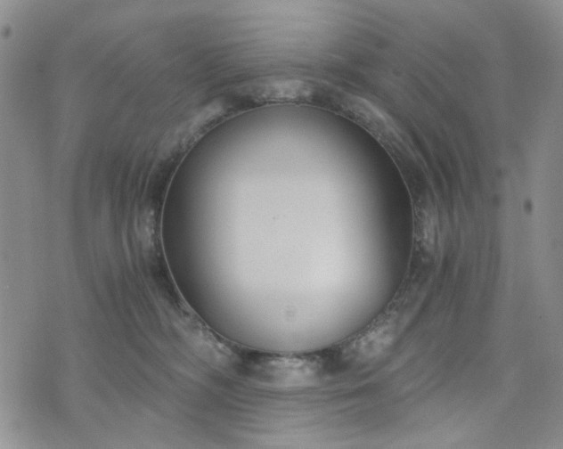 X0000076390326200610161146