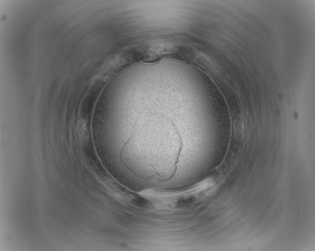 X0000076390327200610161146