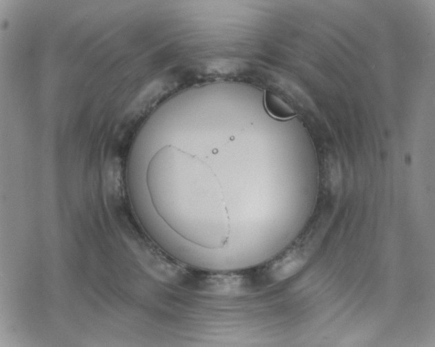 X0000076390328200610161146