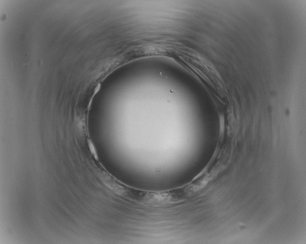 X0000076390329200610161146