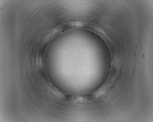 X0000076390330200610161146