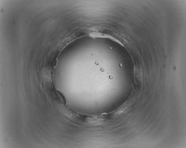 X0000076390331200610161146