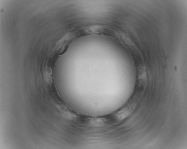 X0000076390332200610161146