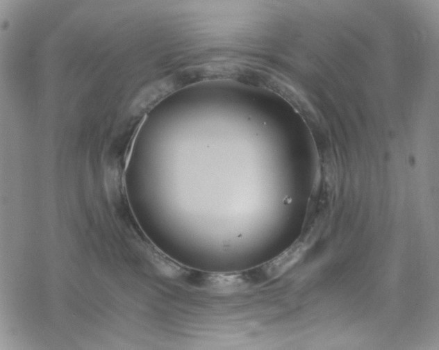 X0000076390333200610161146