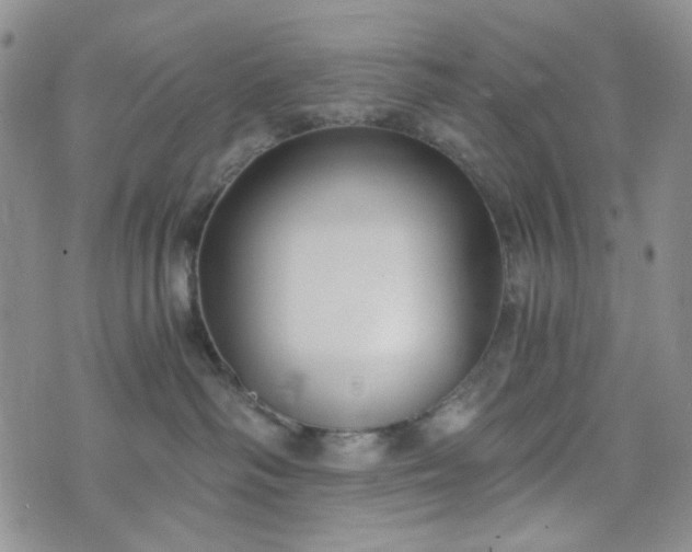 X0000076390334200610161146