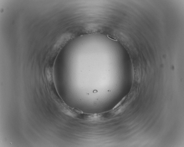 X0000076390335200610161146