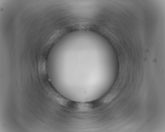 X0000076390336200610161146