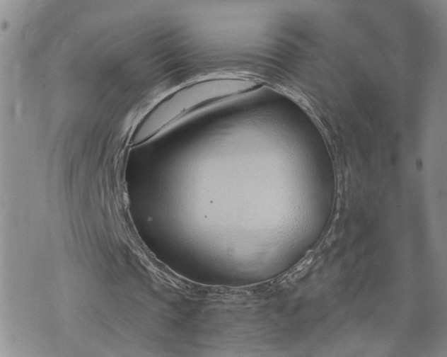 X0000076390337200610161145