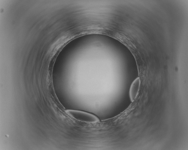 X0000076390338200610161145