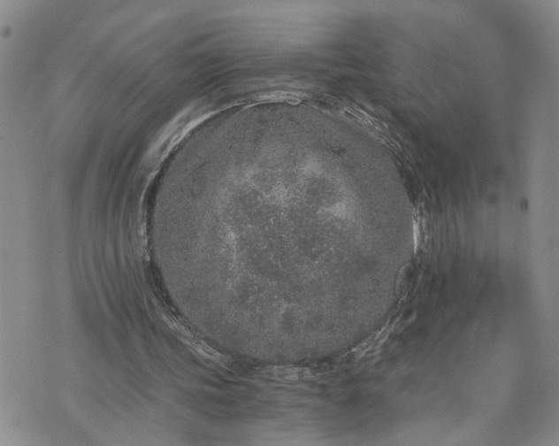 X0000076390339200610161145