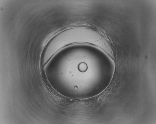 X0000076390340200610161146