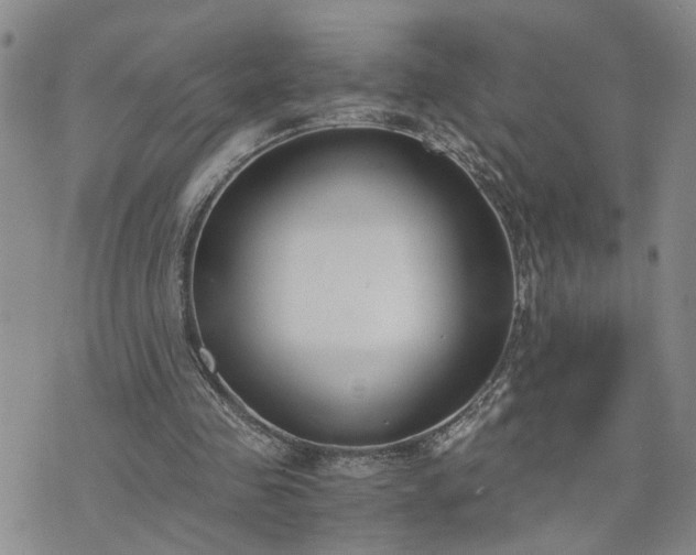 X0000076390341200610161146