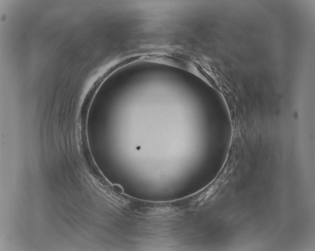 X0000076390342200610161146