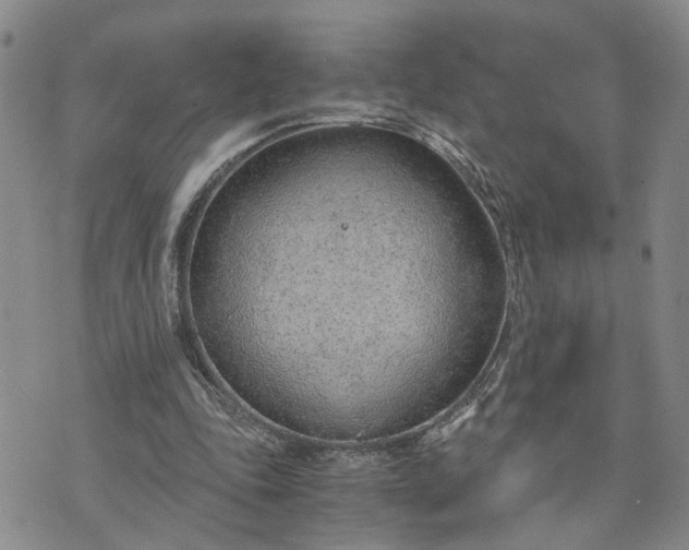 X0000076390343200610161146