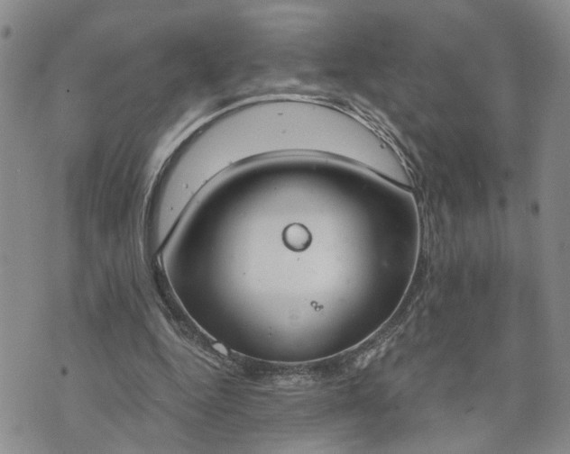 X0000076390344200610161146