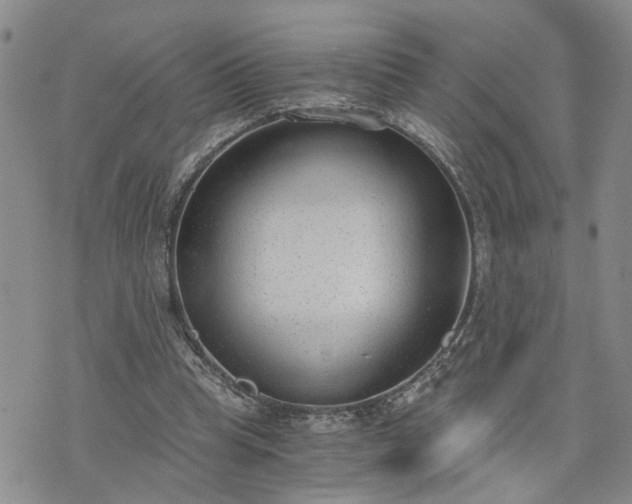 X0000076390345200610161146