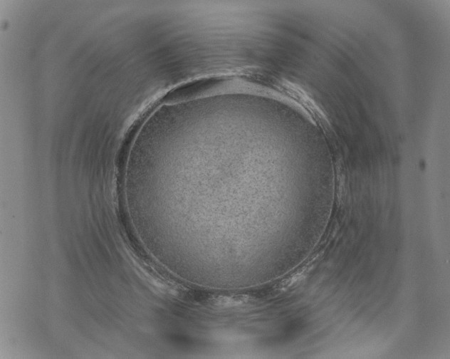 X0000076390346200610161146