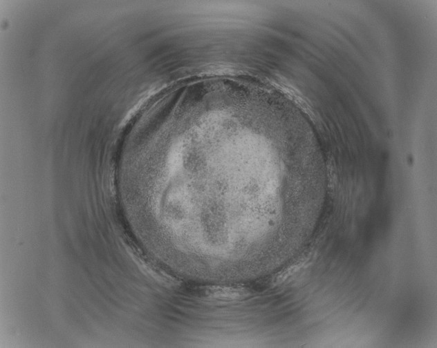 X0000076390347200610161146