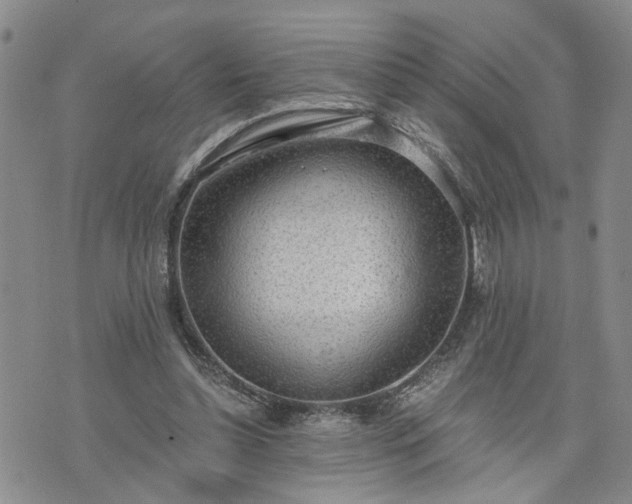 X0000076390348200610161146