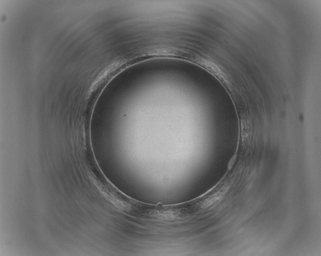 X0000076390349200610161146