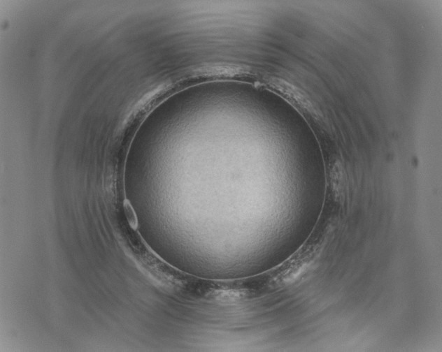 X0000076390352200610161146