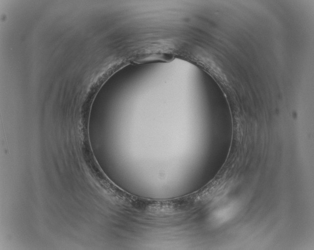 X0000076390354200610161146