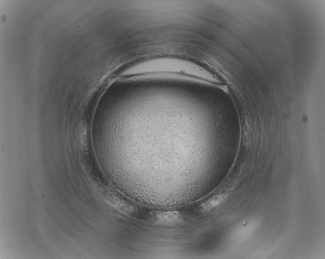 X0000076390355200610161146