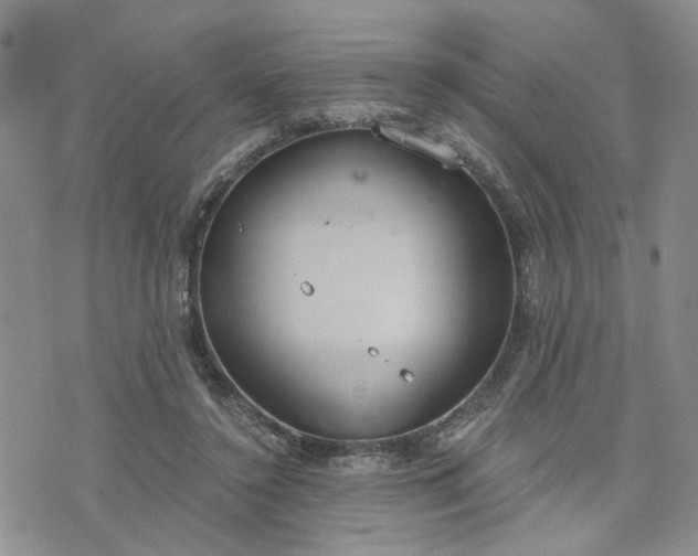 X0000076390356200610161146