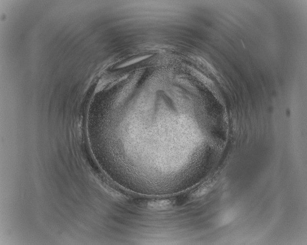 X0000076390357200610161146