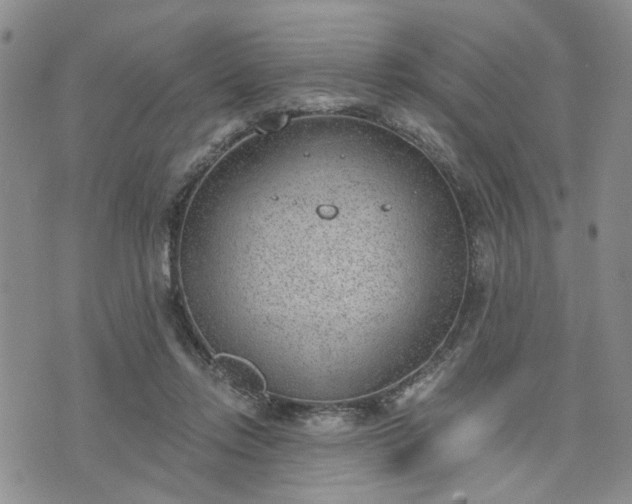 X0000076390358200610161146