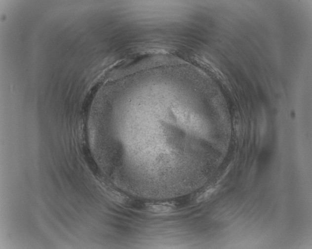 X0000076390359200610161146