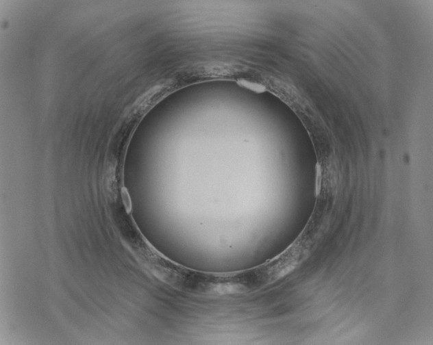 X0000076390360200610161146