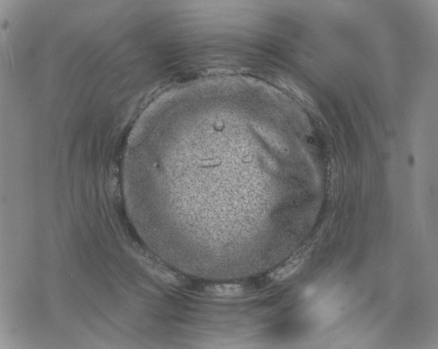 X0000076390361200610161146