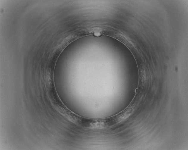 X0000076390362200610161146