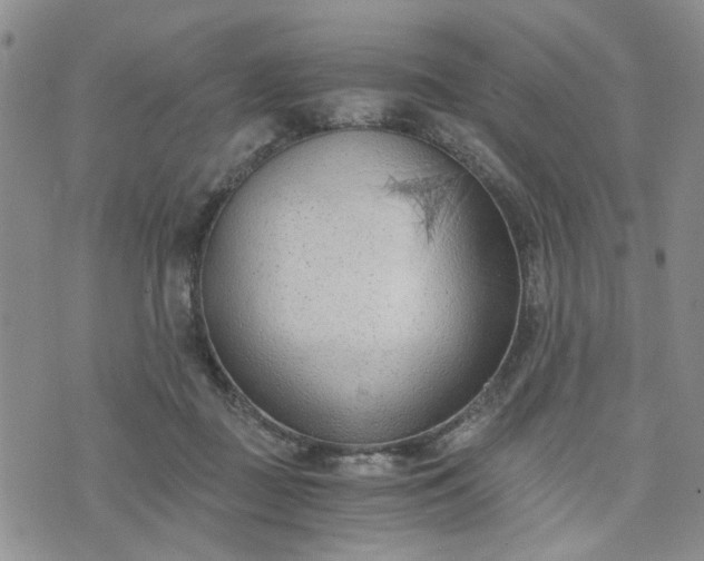 X0000076390363200610161146