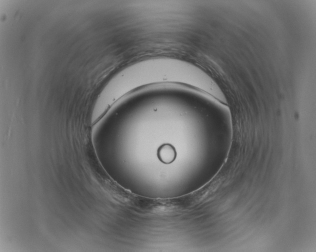 X0000076390364200610161146