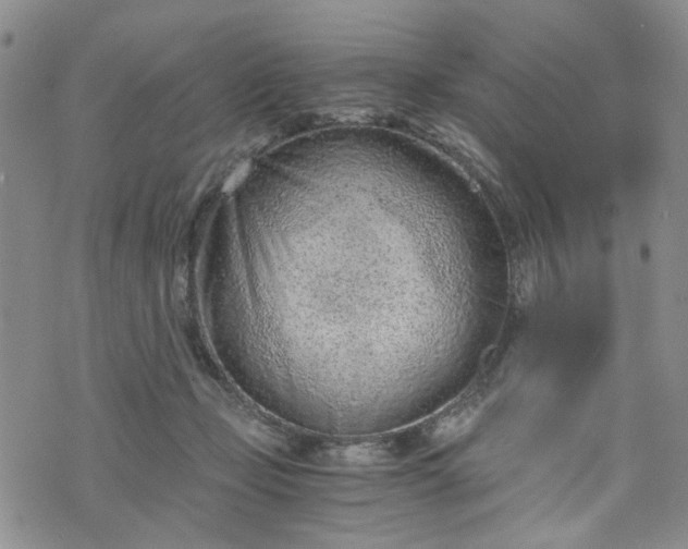 X0000076390365200610161146