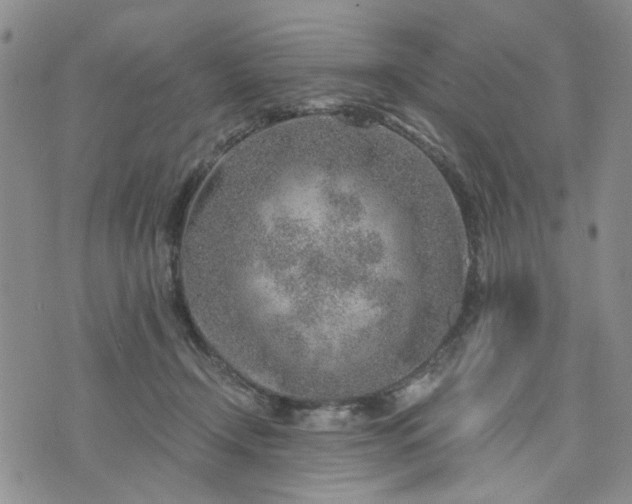 X0000076390366200610161146