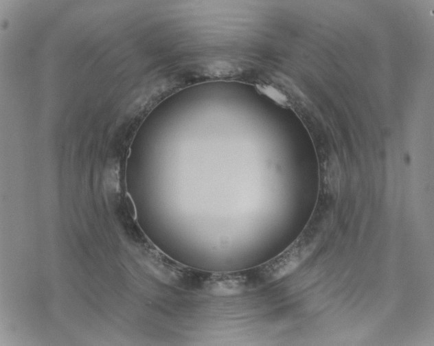 X0000076390368200610161146