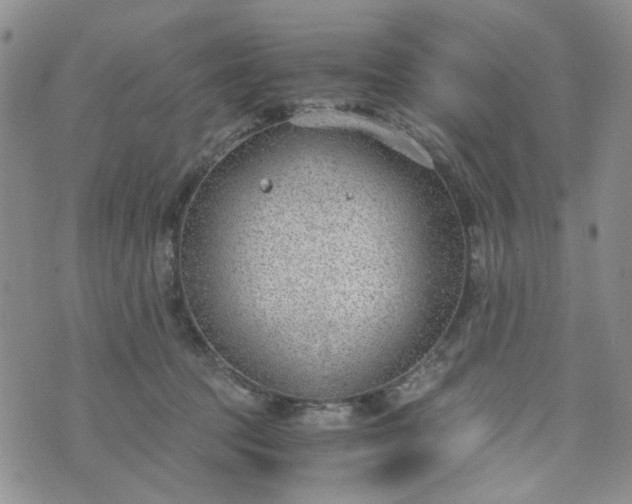 X0000076390369200610161146