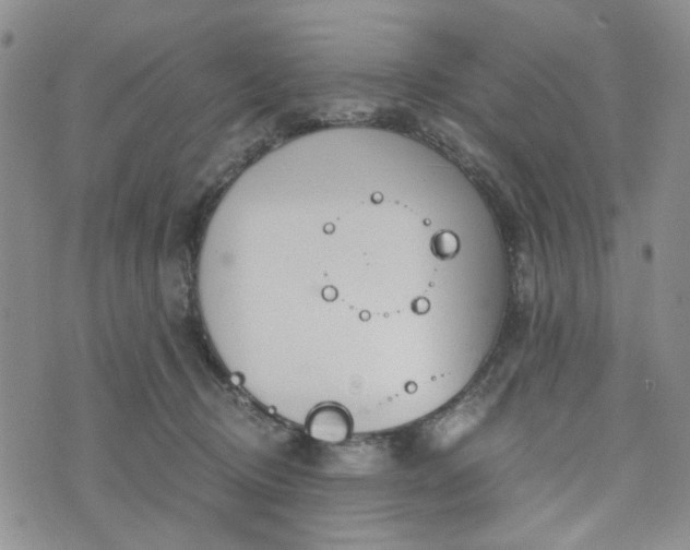 X0000076390370200610161146