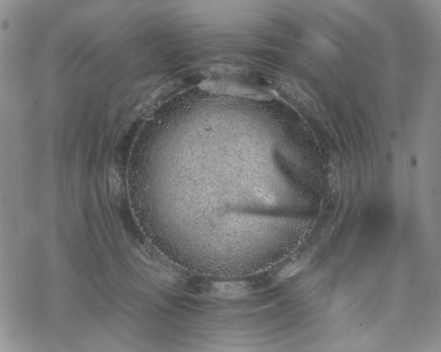 X0000076390371200610161146