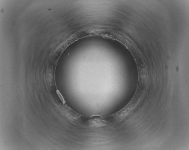 X0000076390372200610161146