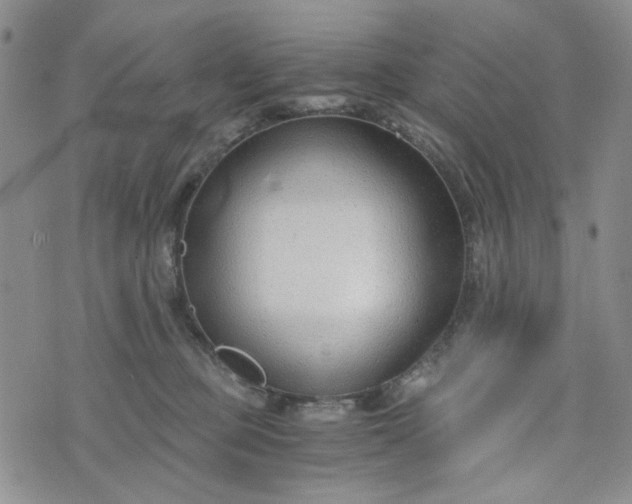 X0000076390373200610161146