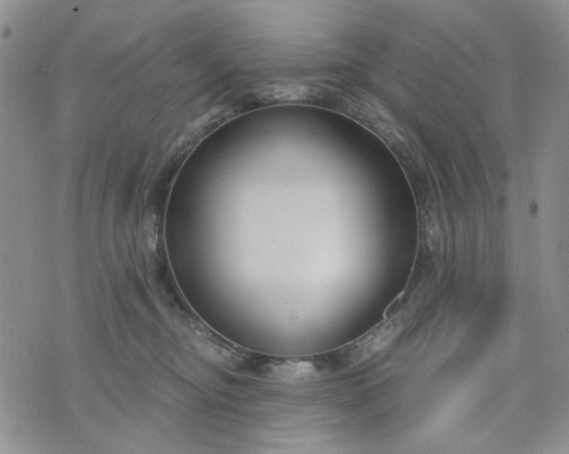 X0000076390374200610161146