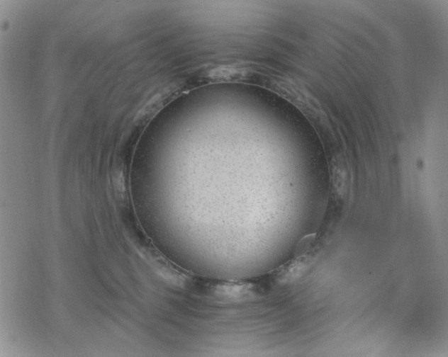 X0000076390375200610161146