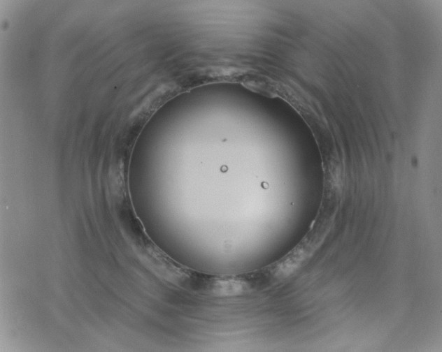 X0000076390376200610161146