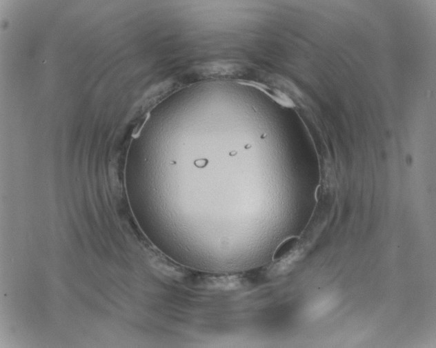 X0000076390377200610161146